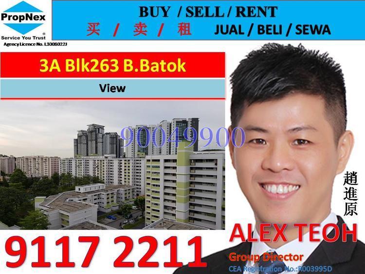 Blk 263 Bukit Batok East Avenue 4 (Bukit Batok), HDB 3 Rooms #156282882
